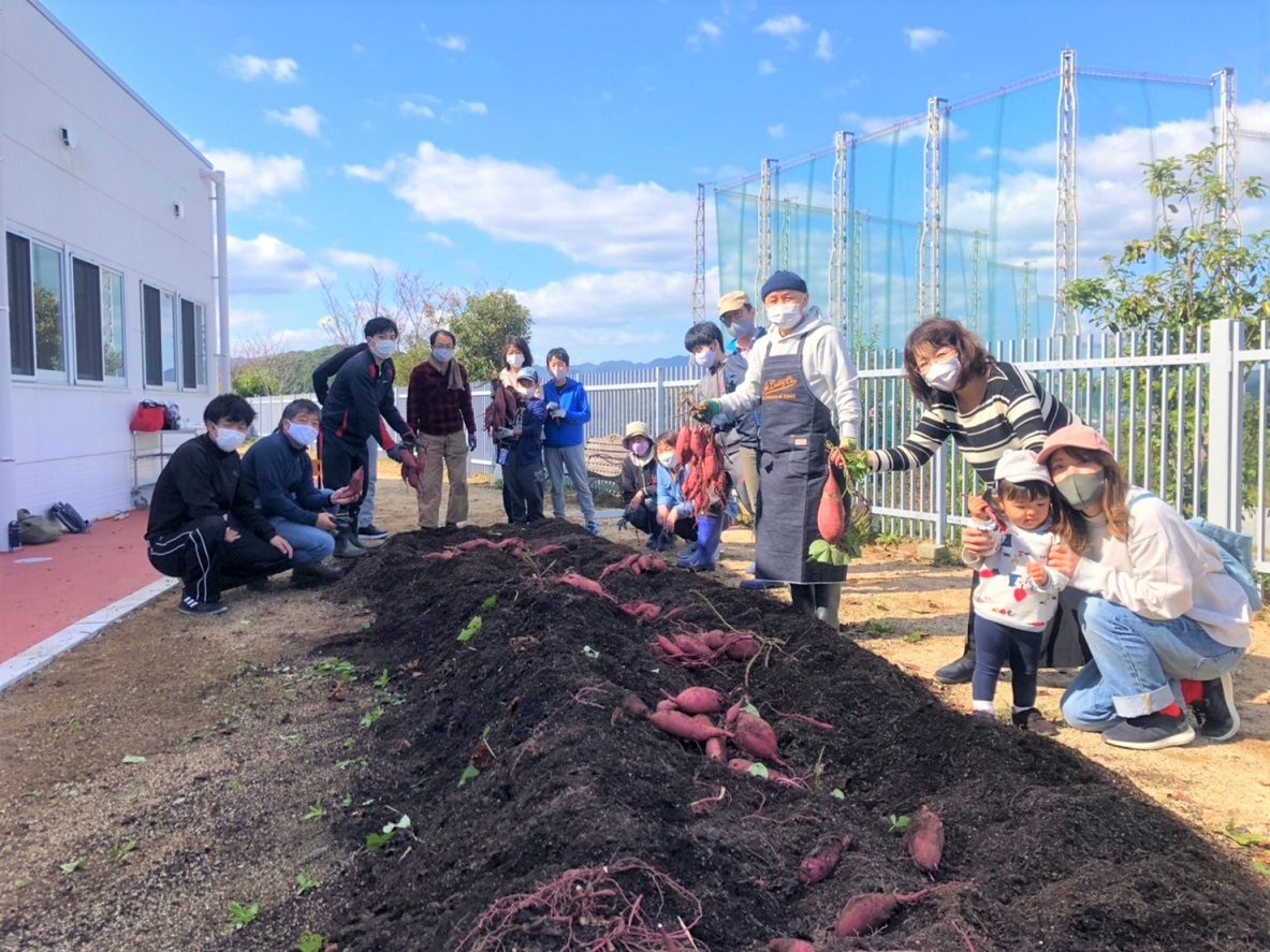 ソーシャルディスタンスで芋ほり風景